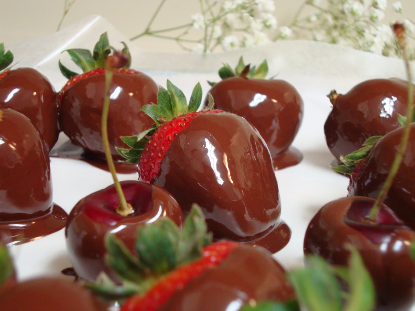 chocolate dipped strawberries cherries chocolate dipped strawberries cherries